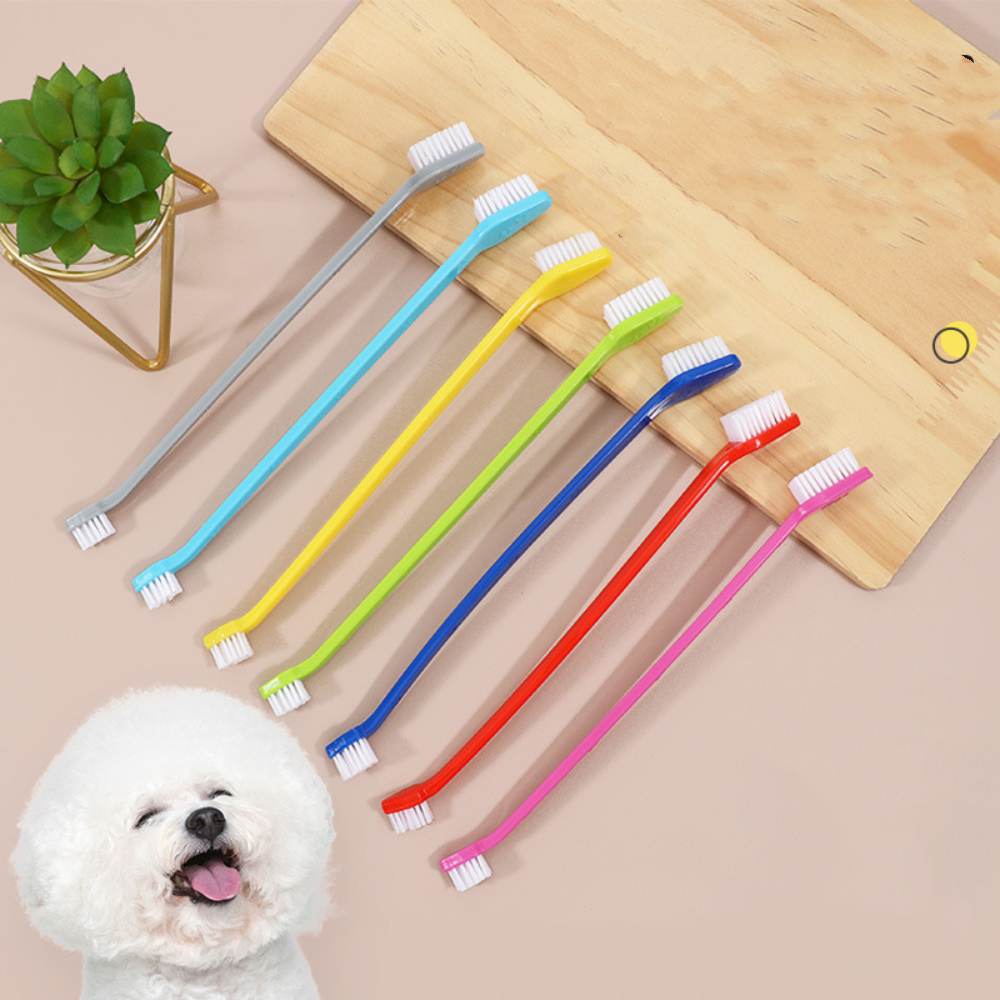 Double-headed Dog Toothbrush P - Group Head Brush avaliação e preço