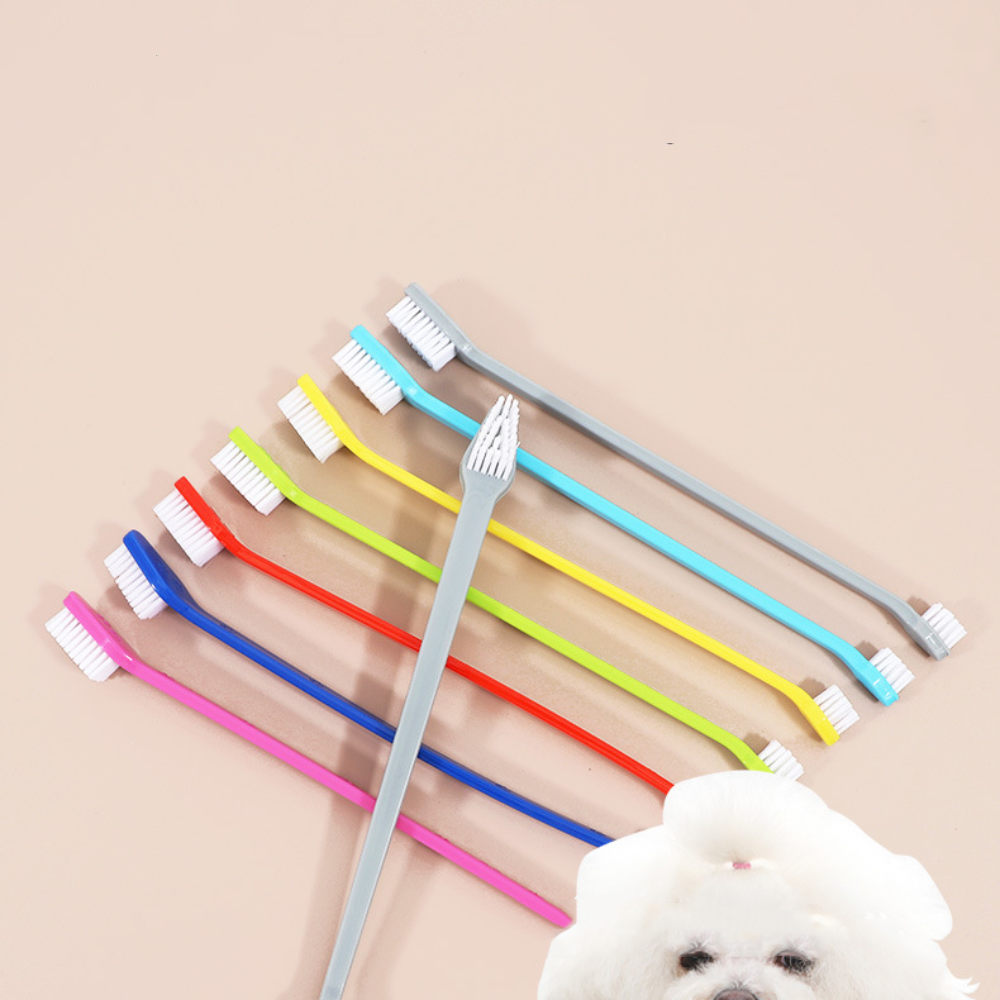 Double-headed Dog Toothbrush P - Group Head Brush avaliação e preço